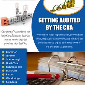 Best Tax accountant: Getting Audited By The CRA